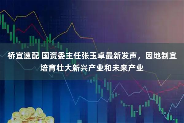 桥宜速配 国资委主任张玉卓最新发声，因地制宜培育壮大新兴产业和未来产业