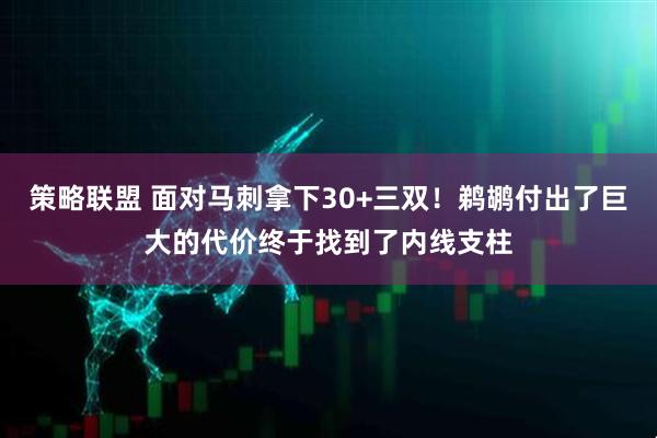 策略联盟 面对马刺拿下30+三双！鹈鹕付出了巨大的代价终于找到了内线支柱
