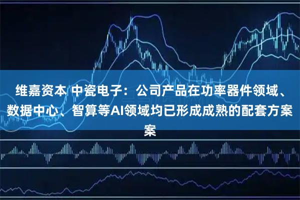 维嘉资本 中瓷电子：公司产品在功率器件领域、数据中心、智算等AI领域均已形成成熟的配套方案